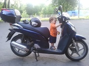 продам Honda SH150i