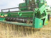 Рапсовый стол купить