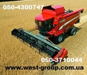 Ремень приводной для сельхозтехники LAVERDA FIATAGRI Fiatagri 3900 