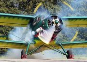 Услуги по защите растений самолетами Ан-2