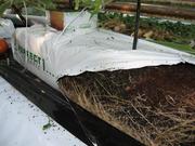 Кокосовый грунт в теплицах.